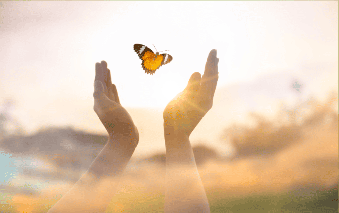 effet papillon